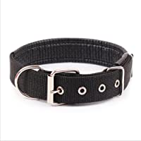 Ecloud Shop® Duradero y cómodo para Mascotas Collar de Perro sólido clásico Collar de Perro de Nylon poliéster básico 2…